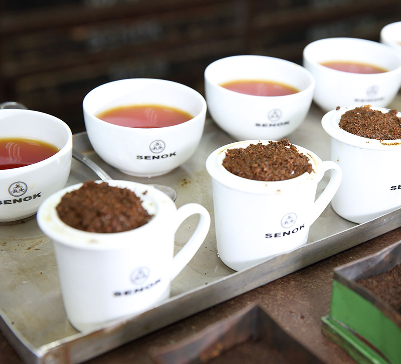 machine tea testing